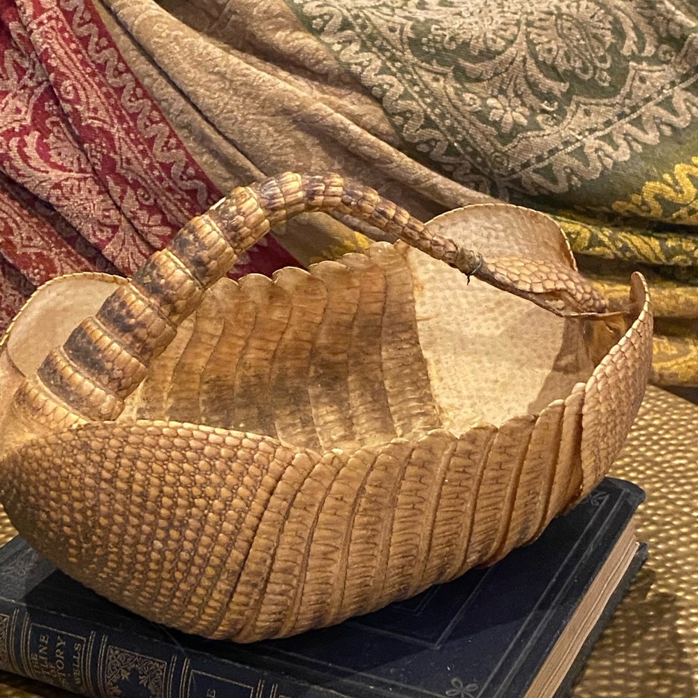 Antique Armadillo Shell Basket